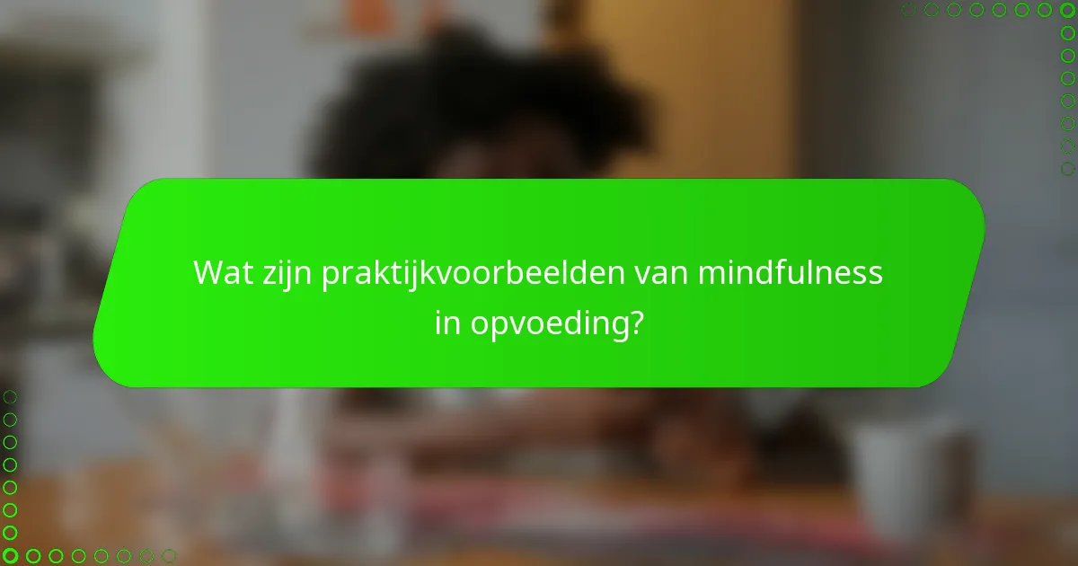 Wat zijn praktijkvoorbeelden van mindfulness in opvoeding?